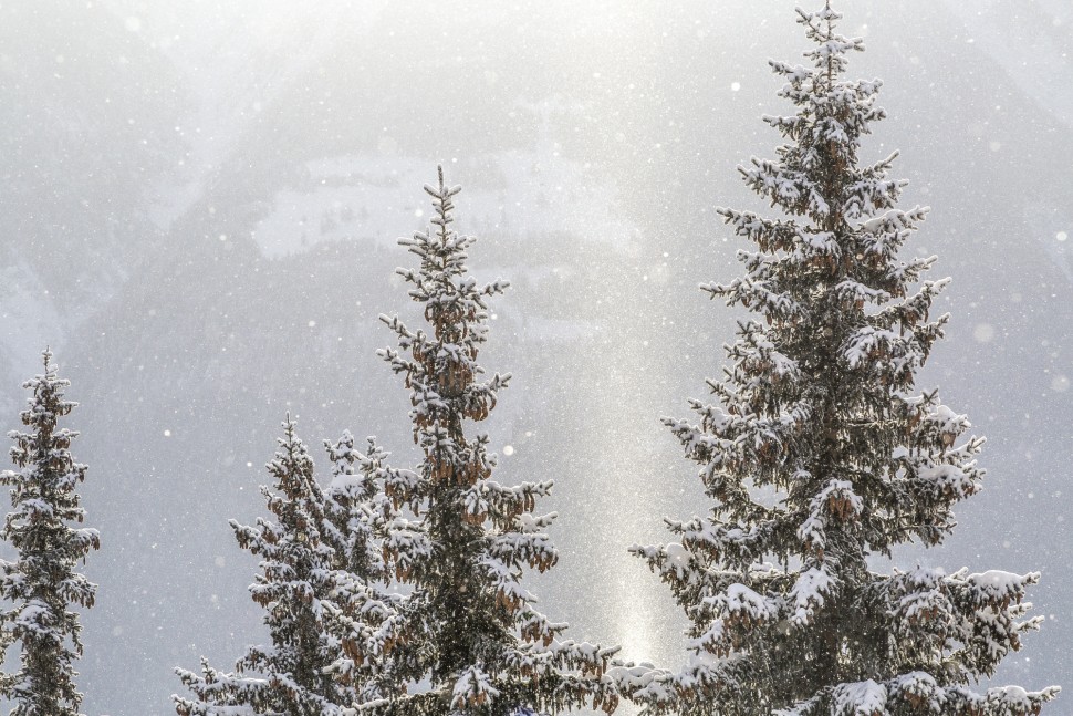 Riederalp-Schnee