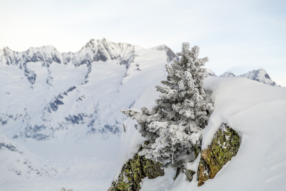 Riederalp-Winter