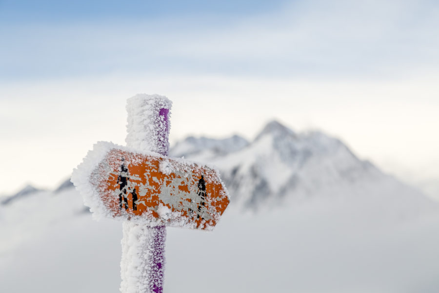 Schneeschuhtipp Aletschwald – stilles Glück gefunden