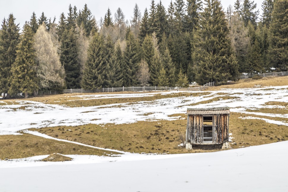 Toblach-Feld-Wald-Wiesen-Schneeschuhtour