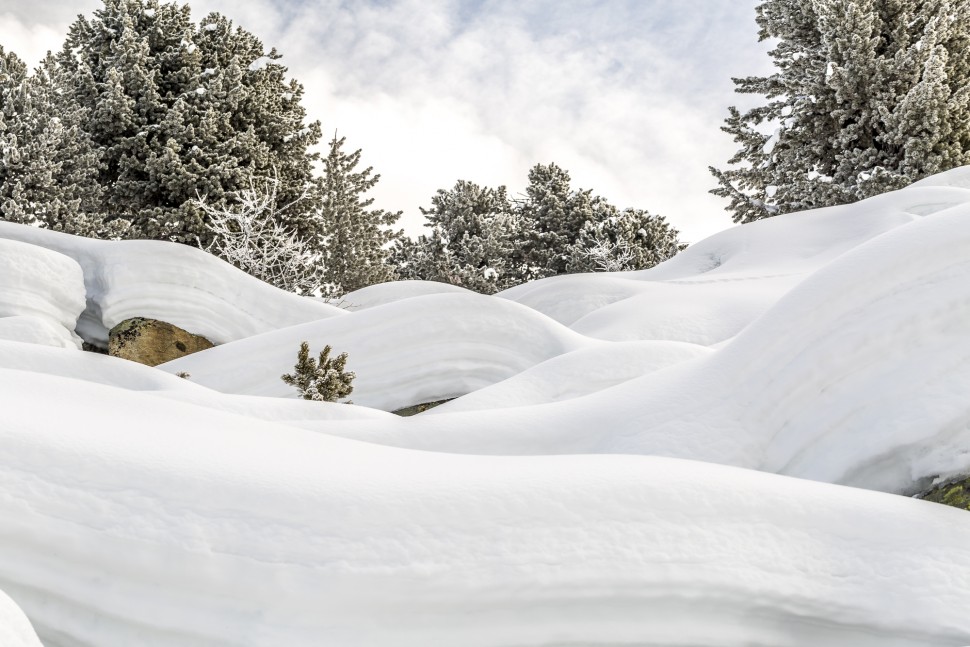 Winter-Riederalp-Natur-2