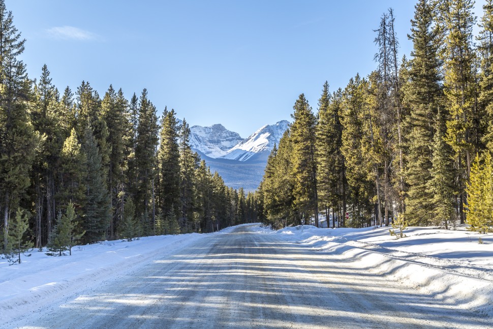 Bow-Valley-Parkway-5