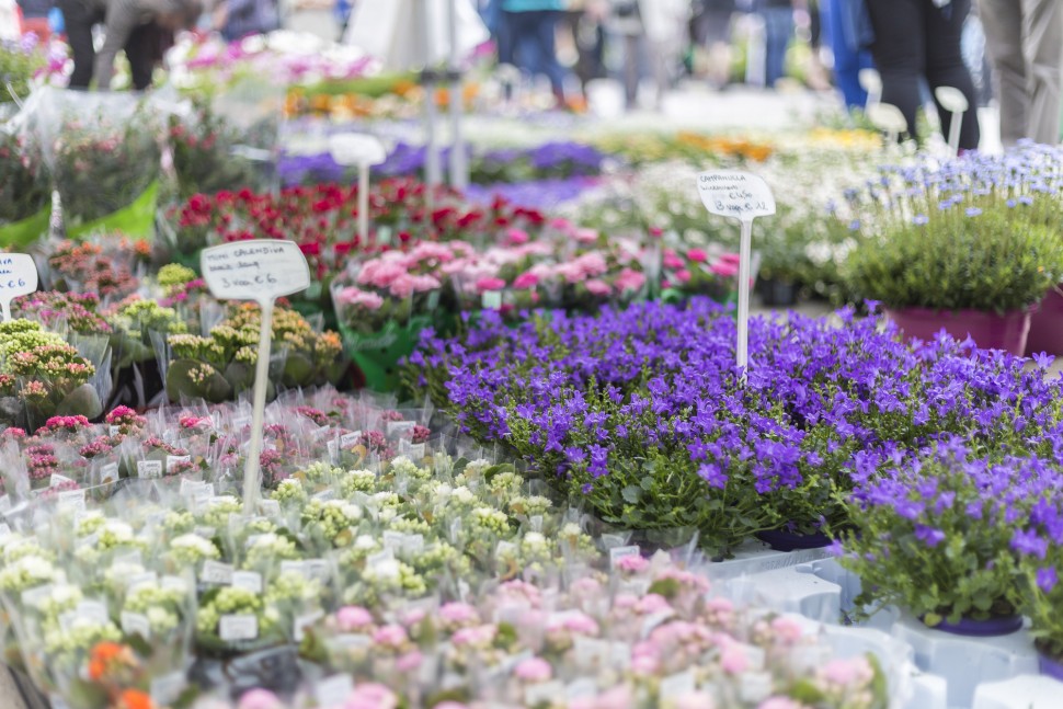 Gent-Blumenmarkt-Kouter-7