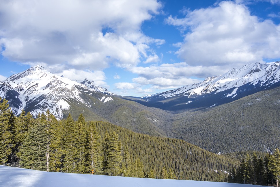 Skiferien-in-Alberta