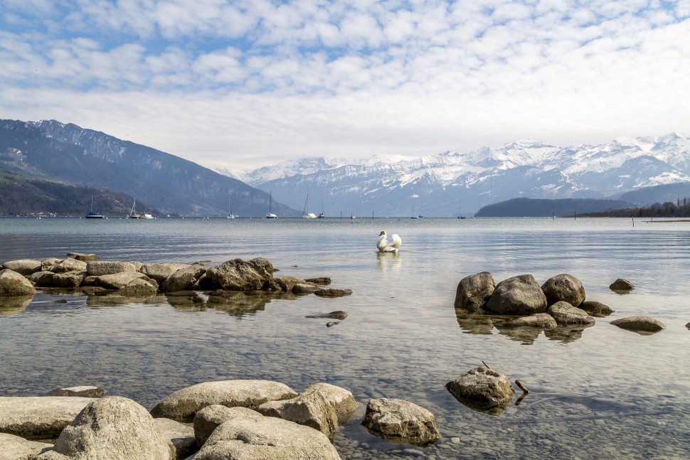 Thunersee-Bonstettenpark-2