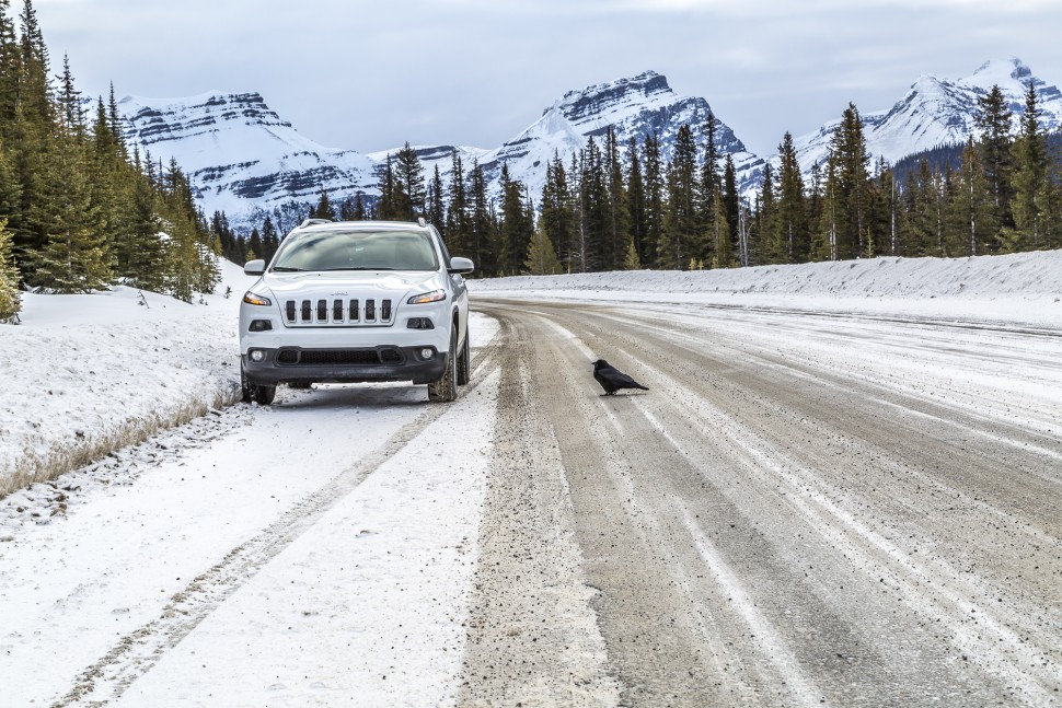 icefields-parkway-jeep