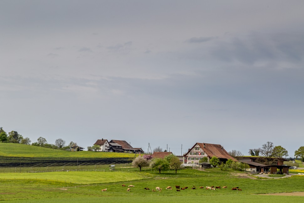 Erlenhof-Nussbaumen