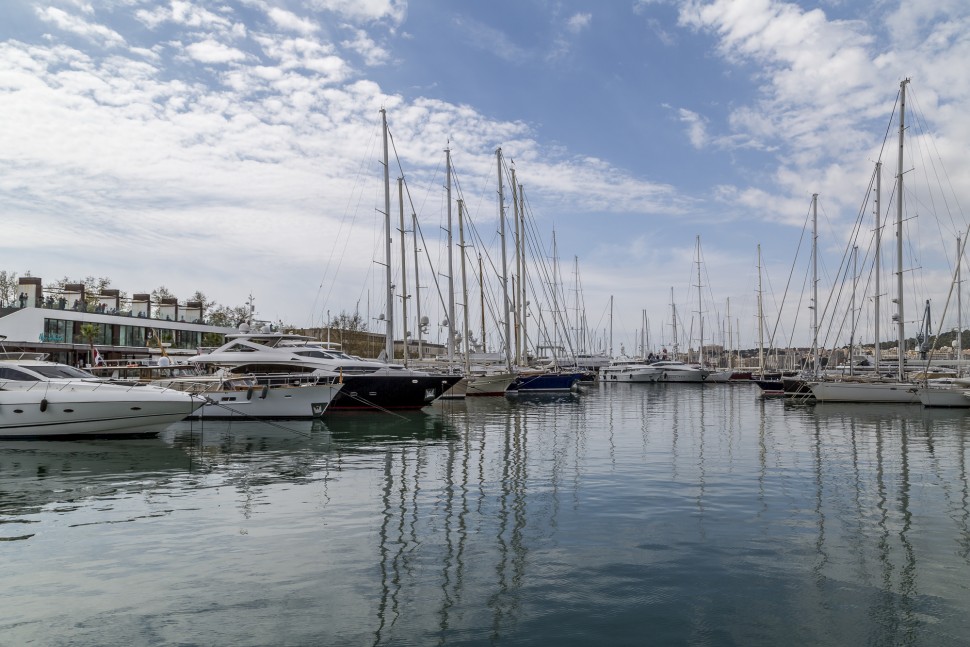 Hafen-Palme-de-Mallorca