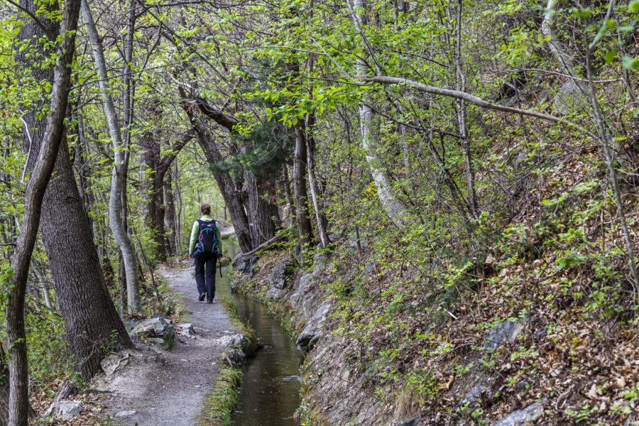 Auf Waalwegen den Vinschgau entdecken