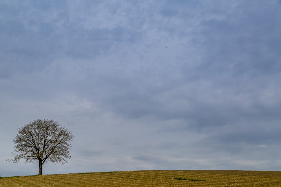 Ostschweiz-Thurgau