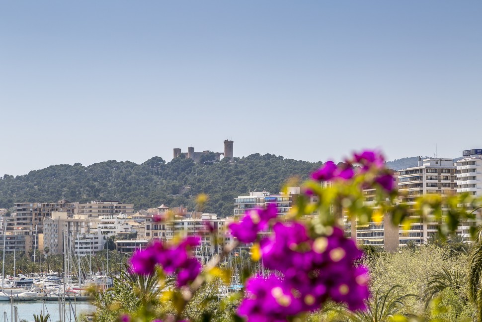 Palma-De-Mallorca-Fruehling