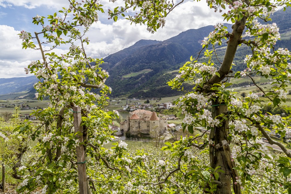 Schloss-Kastelbell