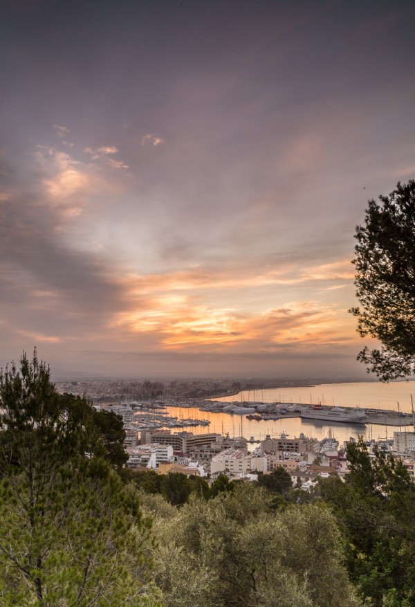 Palma de Mallorca - Reiseguide für einen Tag - Reisetipps