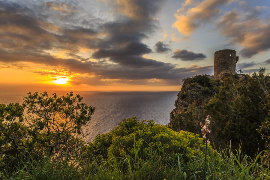 Die 10 schönsten Fotospots auf Mallorca