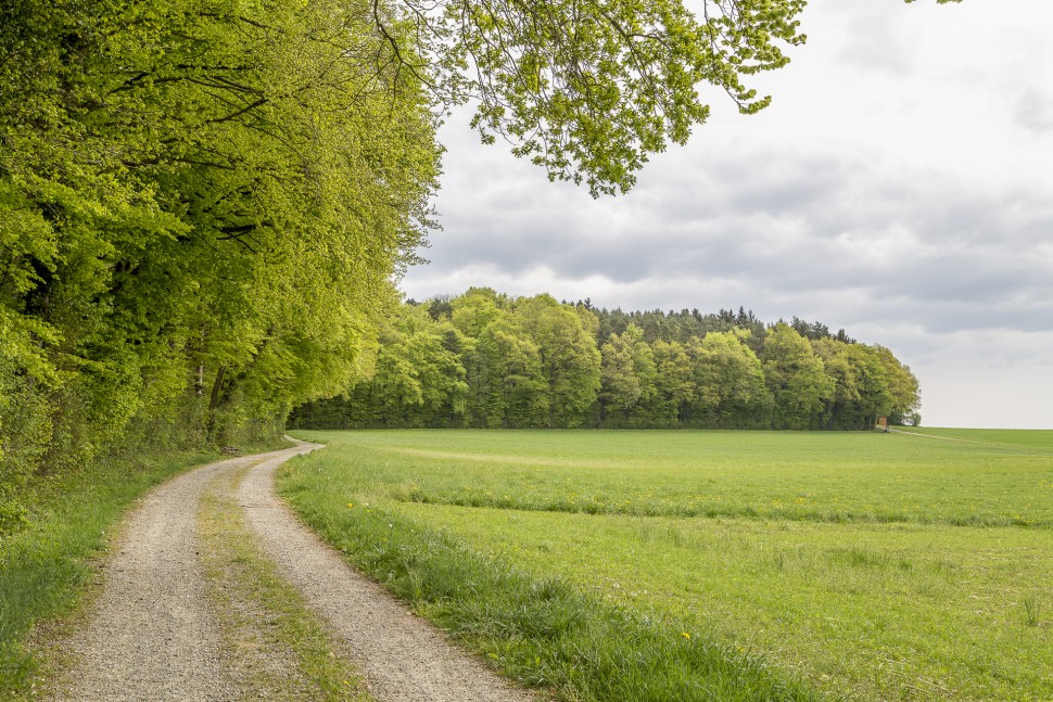 Wanderweg-Kartause-Ittingen-Nussbaumen