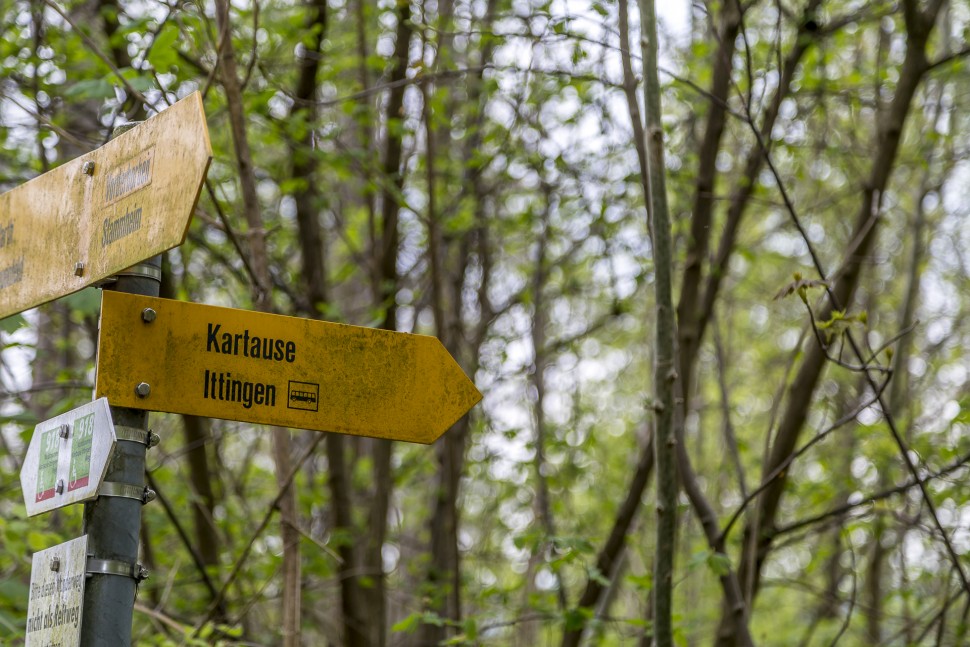 Wegweiser Kartause Ittingen