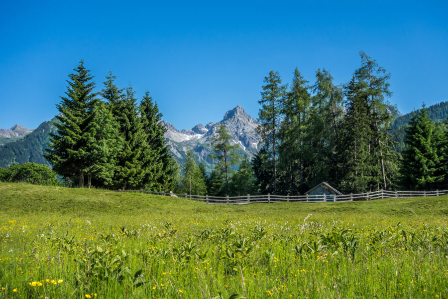 Woher kommt das Wetter? – Lehrreiches aus dem Brandnertal