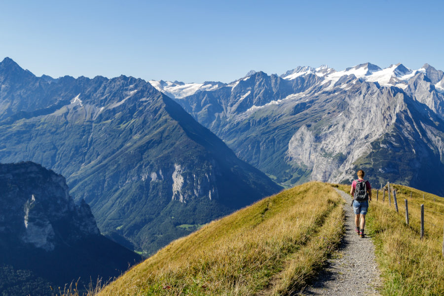 Insta-Sommer: Rück- und Ausblick