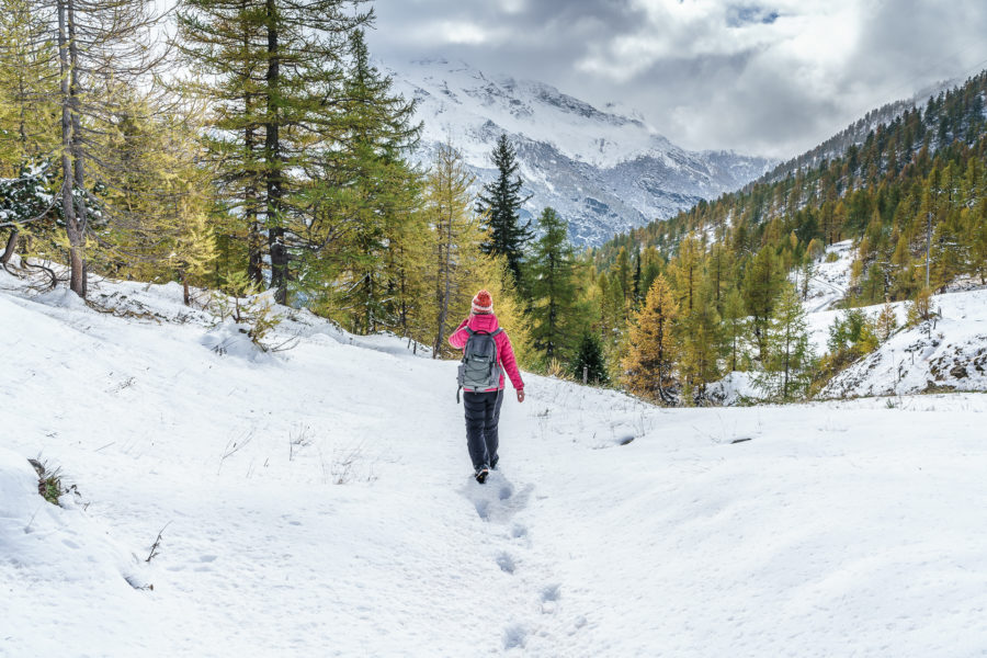 Indian Summer im Simplongebiet – Wanderung im Lärchenwald