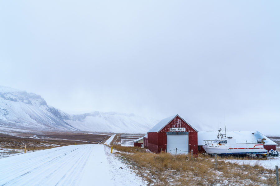 Tipps rund um Reykjavik – Island zum Reinschnuppern
