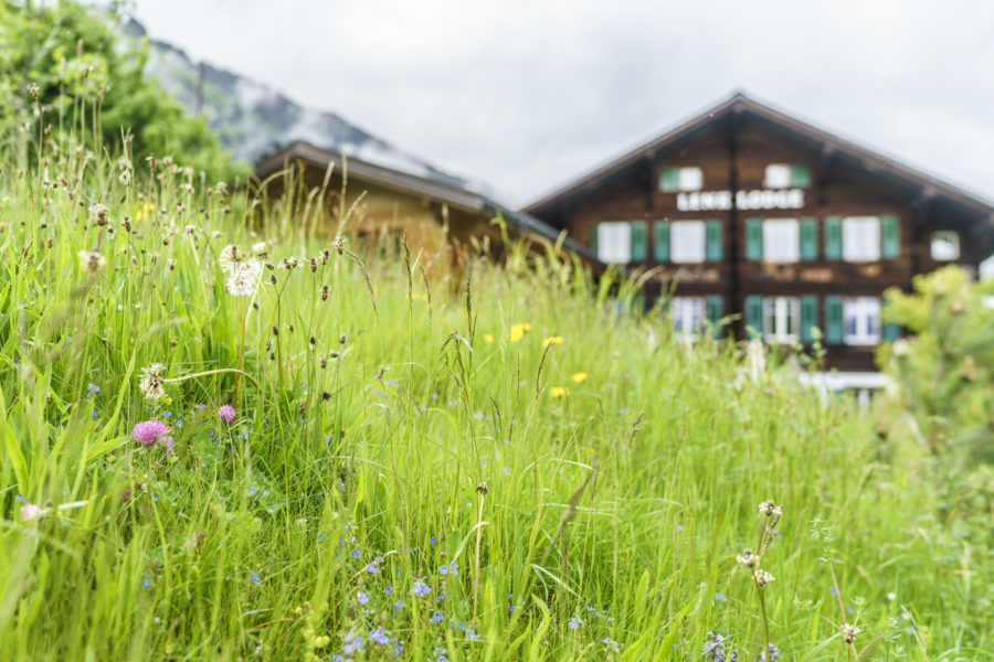 Lässig, lässiger, Lenk Lodge!