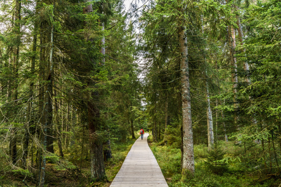 Weekendtrip mit Wellness in der Therme in den Nördlichen Schwarzwald