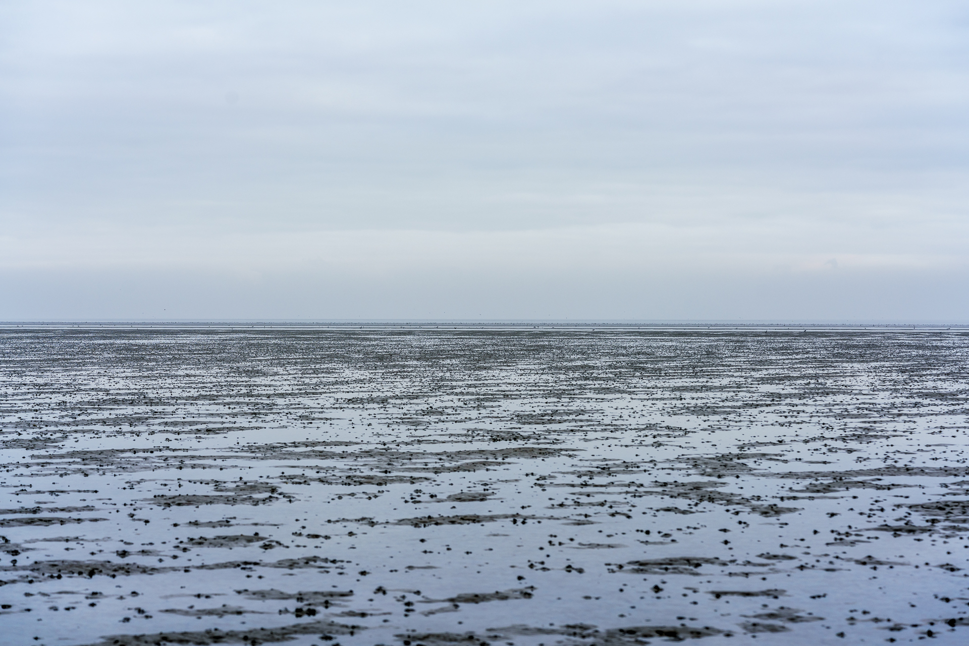 ostfriesland-wattenmeer