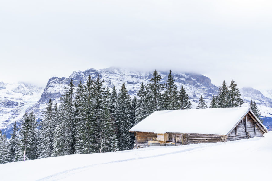 Ferienwohnungen in Grindelwald? – unser Fazit
