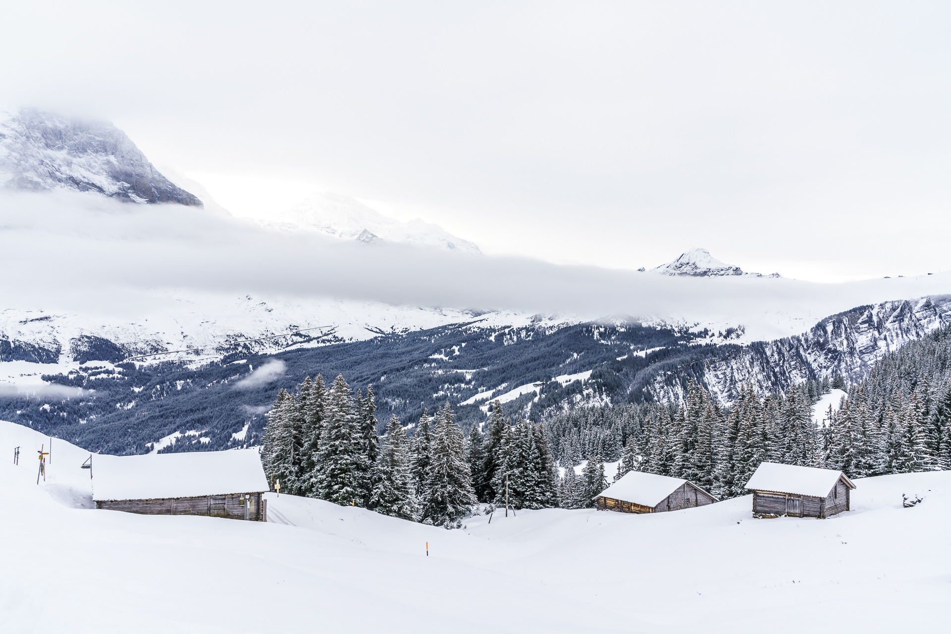 Grindelwald Winter