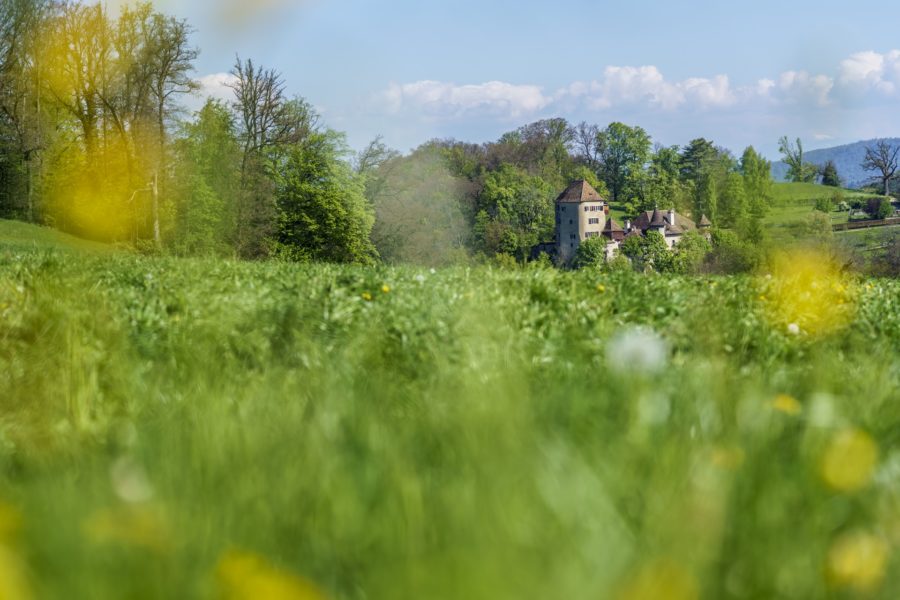 Geniesser Geheimtipp Bad Bubendorf