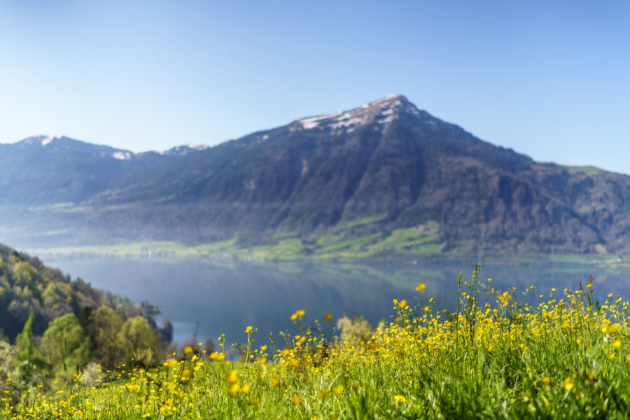 Zugersee und Rigi