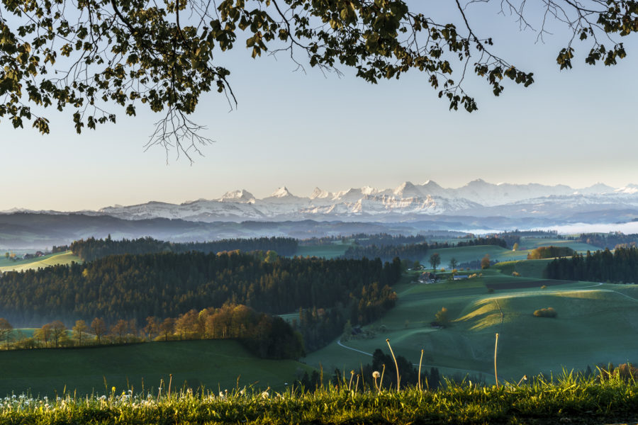 [NEWS] – von Buchprojekten und anstehenden Reisen