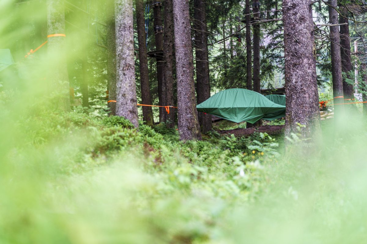 Spezielle Übernachtung im Zelt zwischen den Bäumen