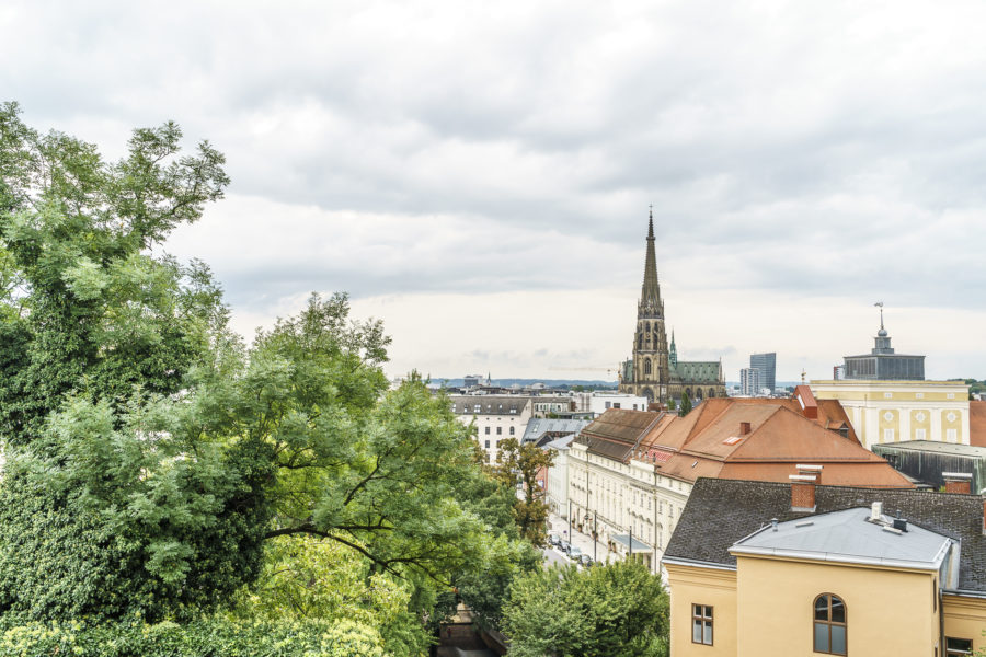 Aussicht Schloss Linz