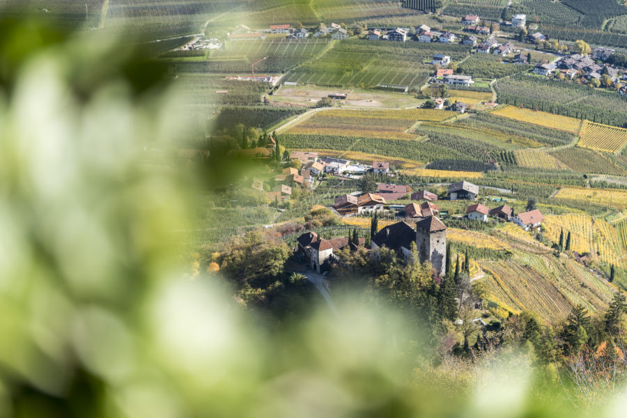 Aussicht Hoferhof Tscherms