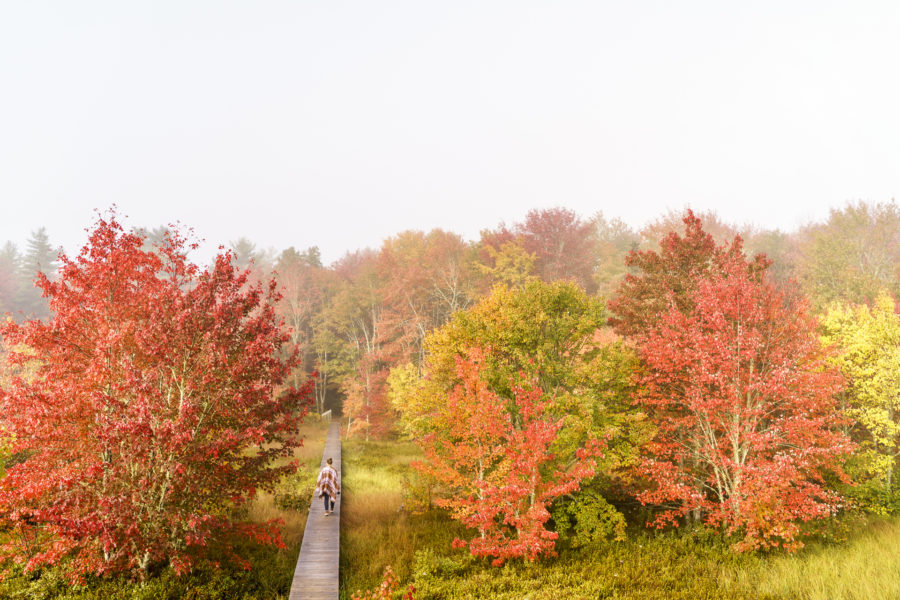 East Kemptville Indian Summer