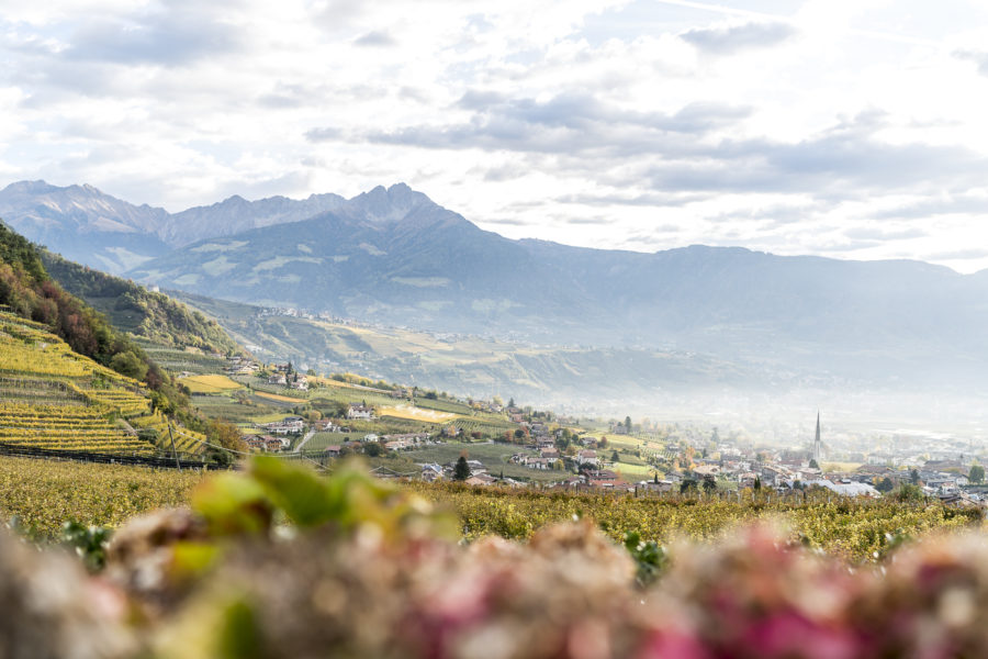 Südtirol für Geniesser: Vom Schloss Plars an den Kalterer See