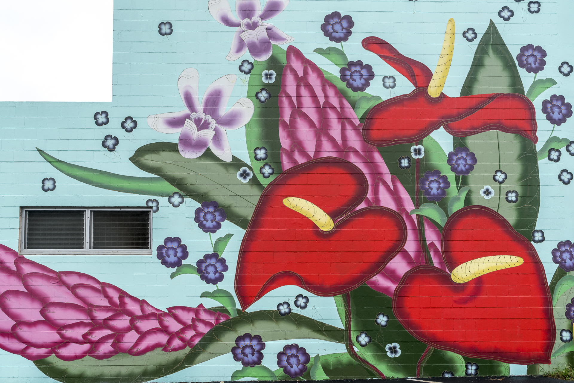 Hilo Street Art