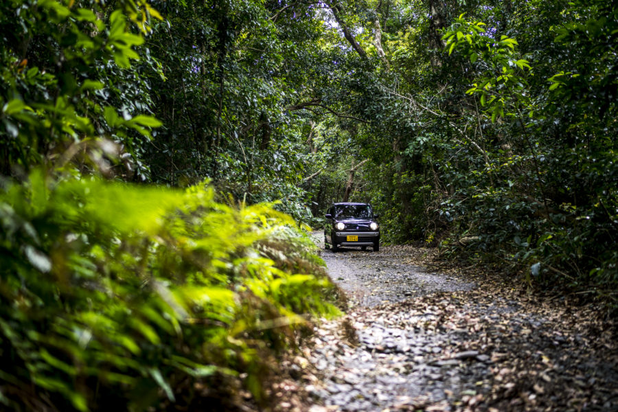 Geheimtipp Japan Yakushima Roadtrip