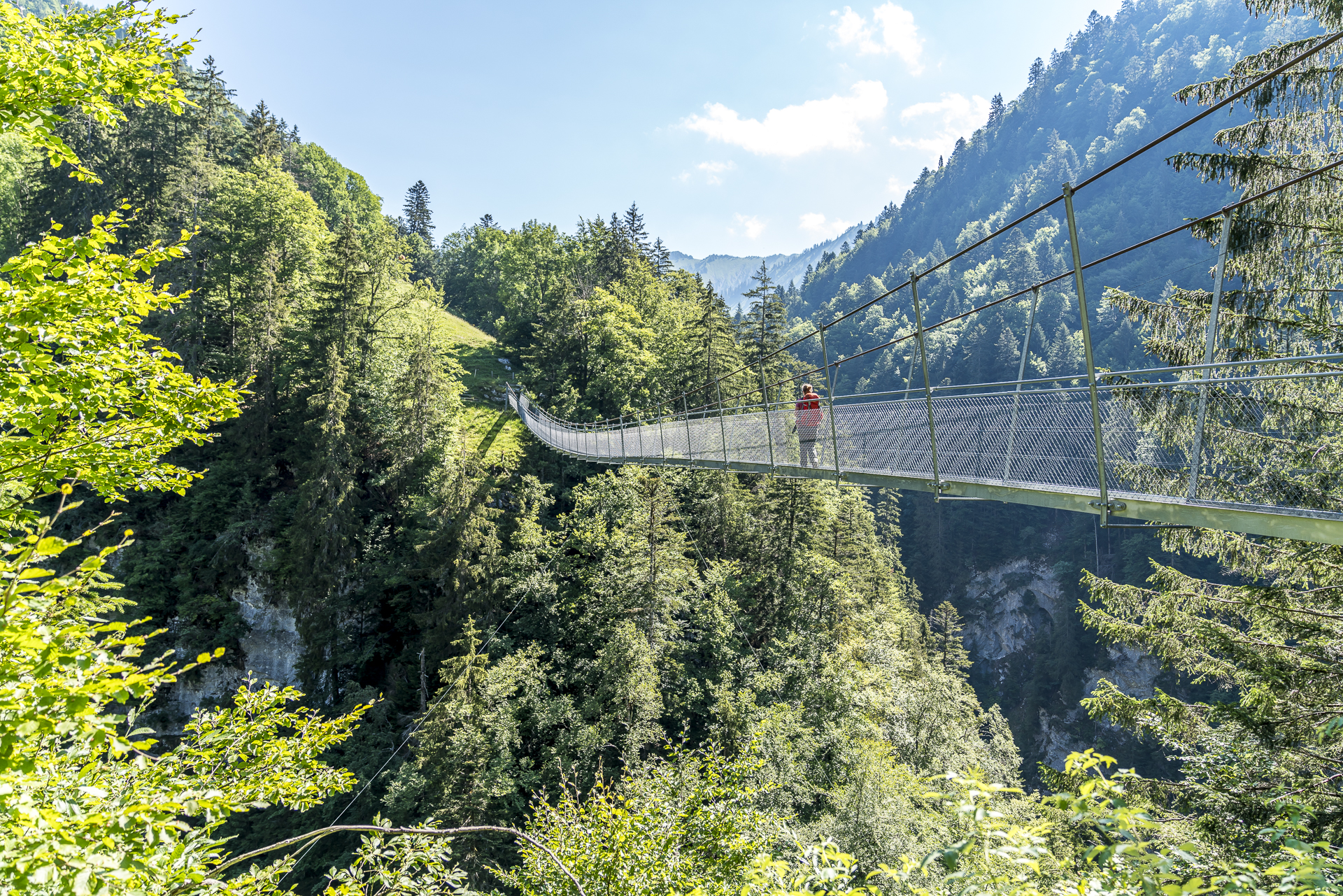 Simmental Hängebrücke Leiternweide