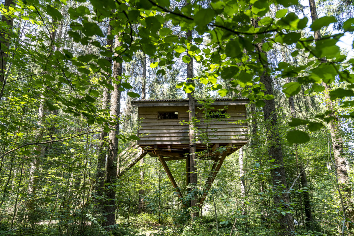 Übernachtung im Baumhaus