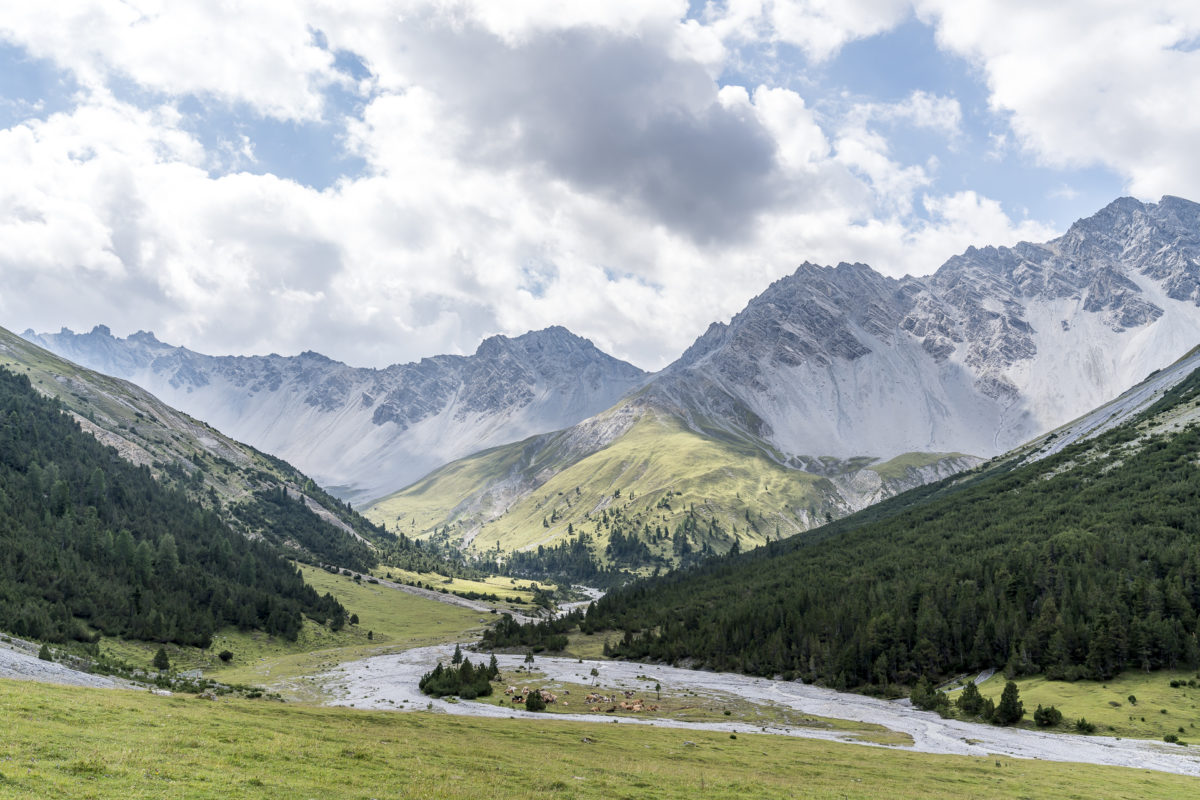 Alp Val Plavna Tarasp
