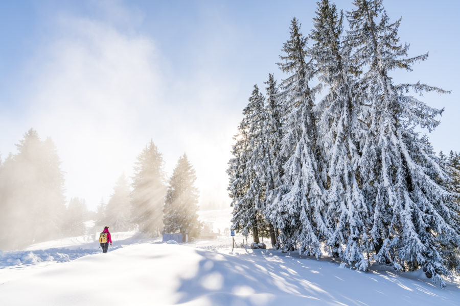 Allgäu Alpenwellness Auszeit