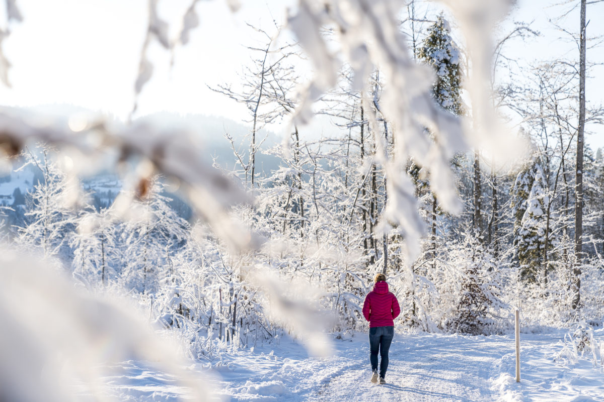 Winterwandern an der Breitach