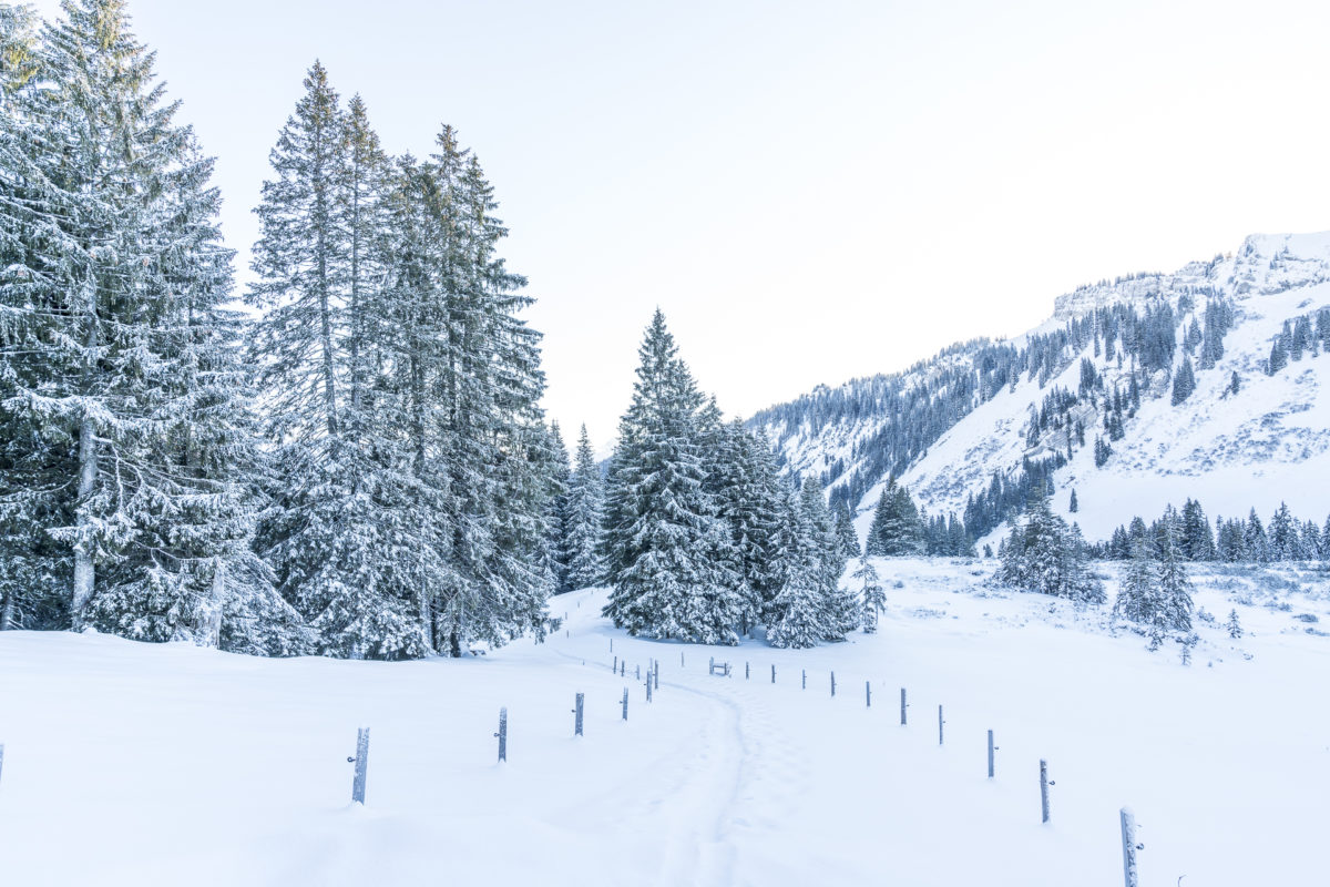 Balderschwang Naturpark Nagelfluhkette