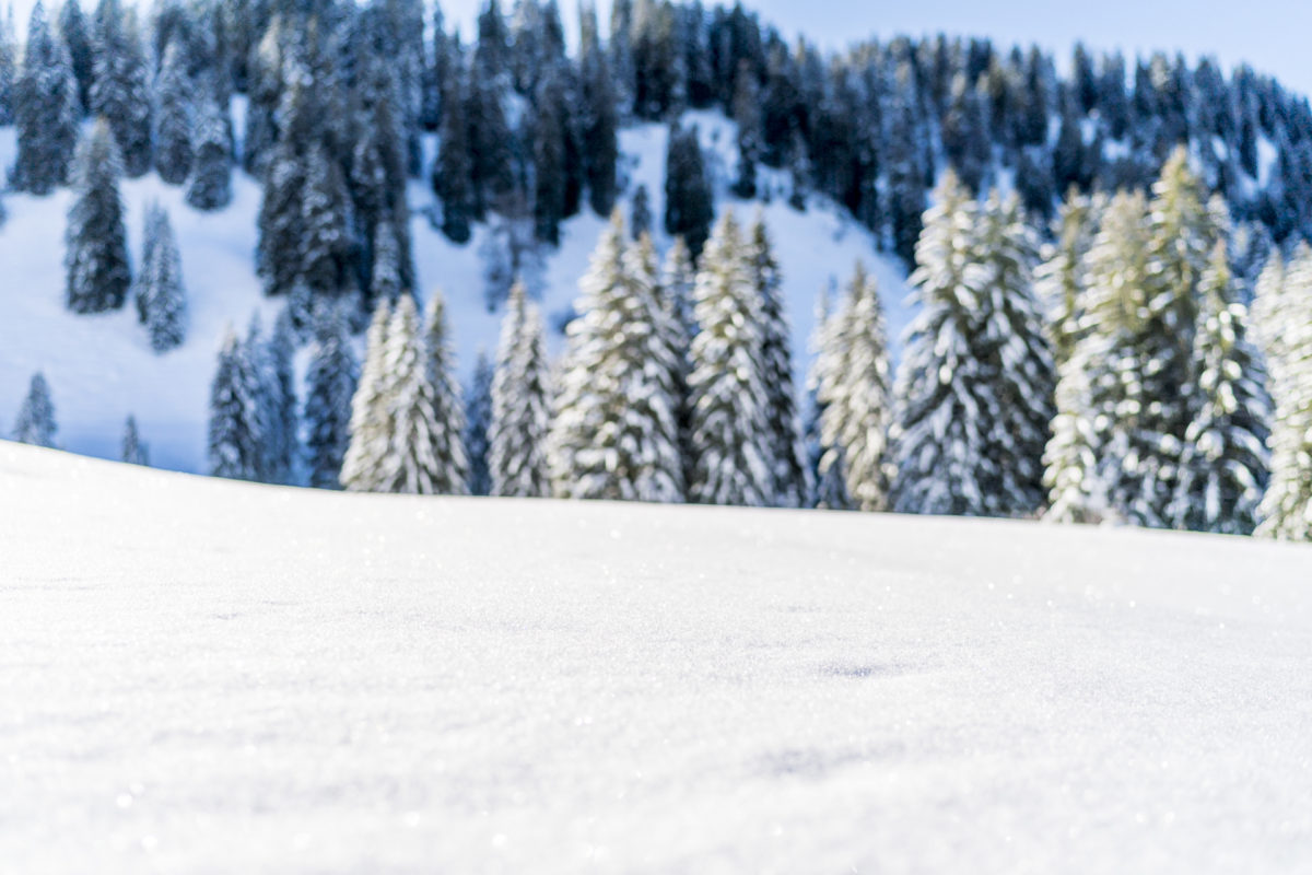 Winterlandschaft Allgäu Balderschwang