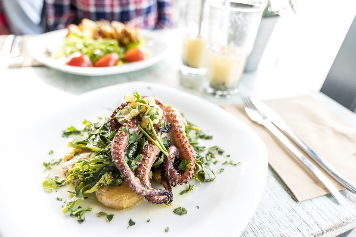 Restaurante Noah Oktopus