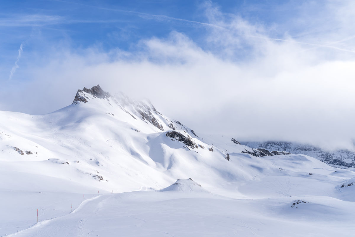 Aussicht Schlittelweg First Faulhorn