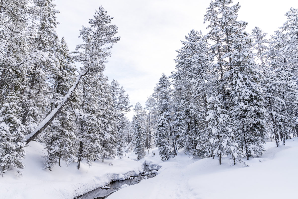 Glaubenberg Winterlandschaft