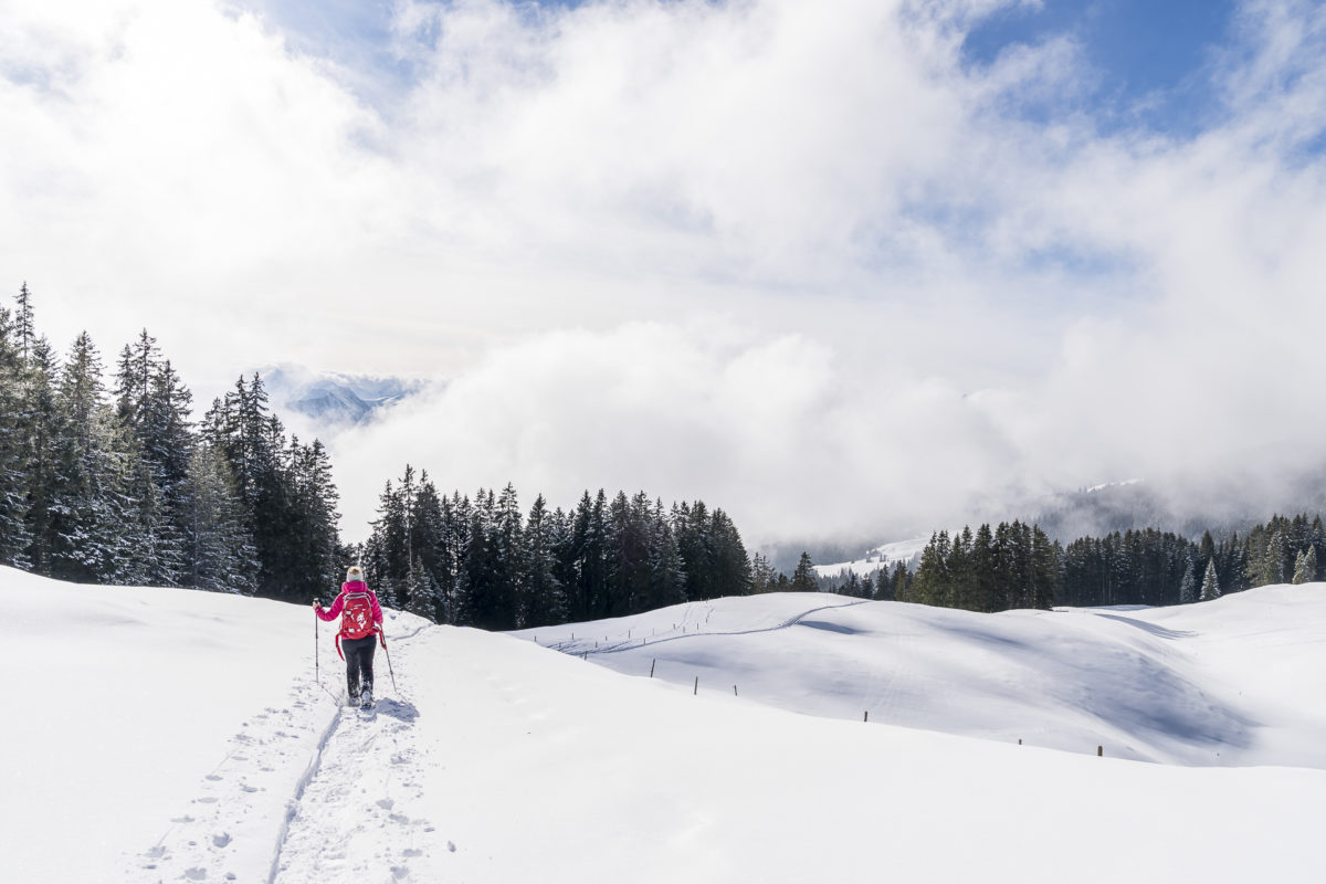 Jänzi Schneeschuhtrail Schneeschuhwandern